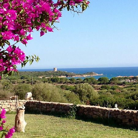 Villa Stazzo La Foci Soluzioni Vista Mare Aglientu Exterior foto