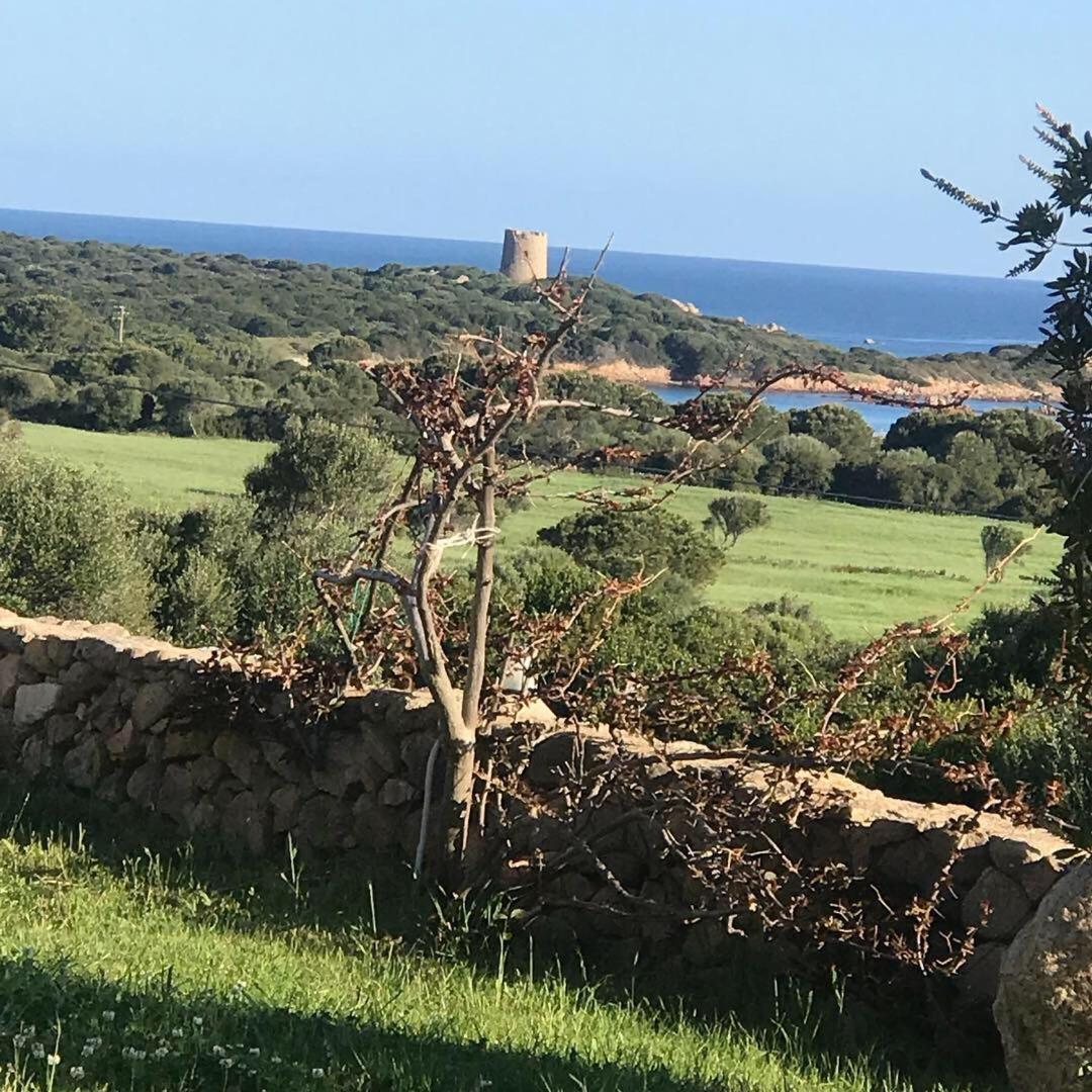 Villa Stazzo La Foci Soluzioni Vista Mare Aglientu Exterior foto